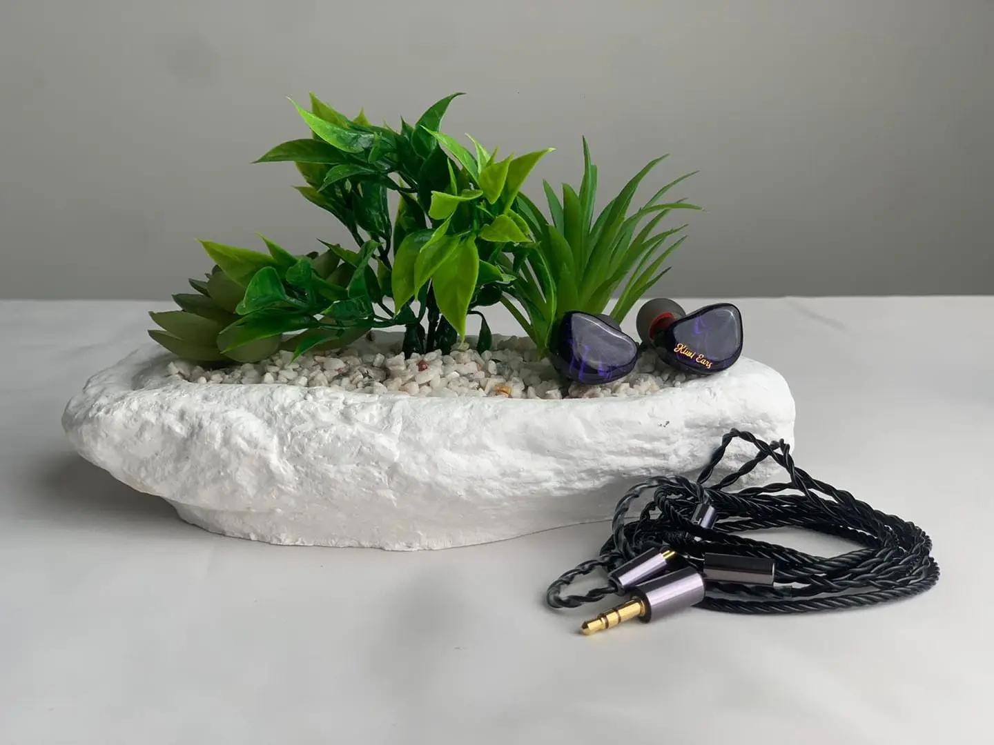 Kiwi Ears Cadenza Review Unboxing