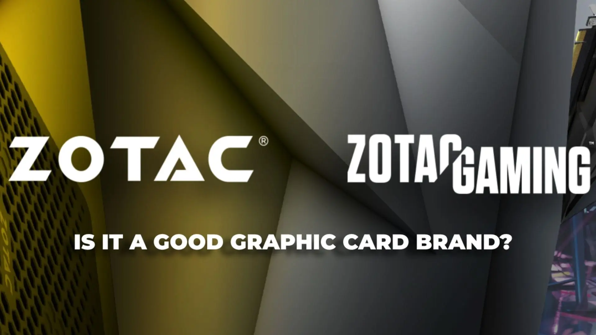 Is Zotac a Good Brand of GPU? Main Reasons Why it is!